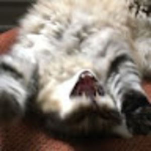 Meet your Posher, Taryn